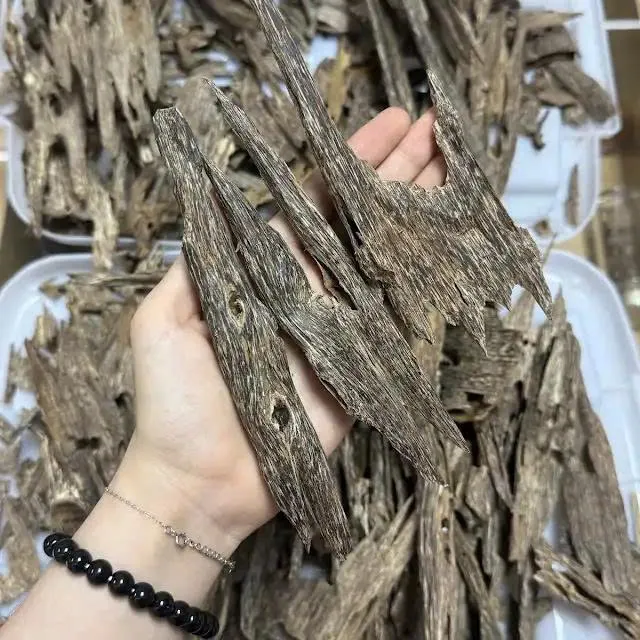 Premium Ant Oud – Wild Vietnam&nbsp; Agarwood Oud | High Resin Block